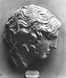 Testa di una furia dormiente o Medusa morente